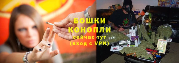 амф Верея