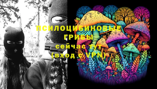 мдпв Верхний Тагил