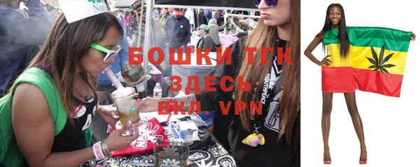 амф Верея