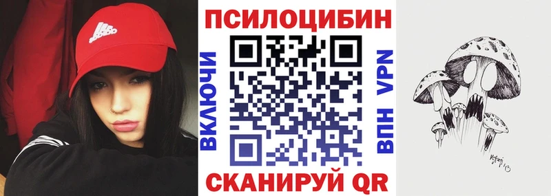 Галлюциногенные грибы Cubensis  даркнет как зайти  Цимлянск 